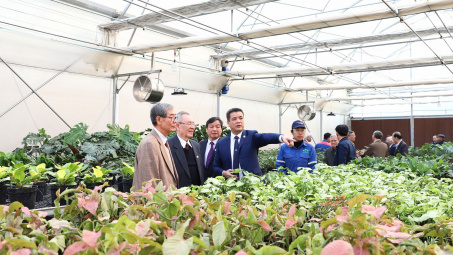 Sắp diễn ra Lễ hội Hoa - Sinh Vật Cảnh Supe Lâm Thao lần thứ Nhất - Xuân Ất Tỵ 2025