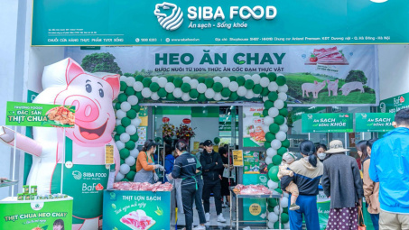 BaF Việt Nam (BAF): Lợi thế từ chuỗi chăn nuôi khép kín 3F, lãi năm 2024 tăng hơn 10 lần