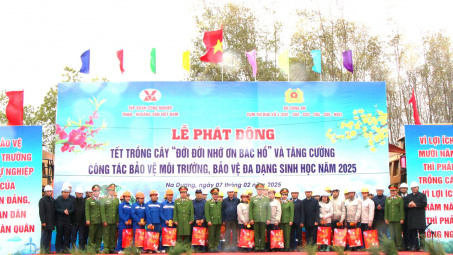 TKV dự kiến trồng trên 240ha cây xanh năm 2025