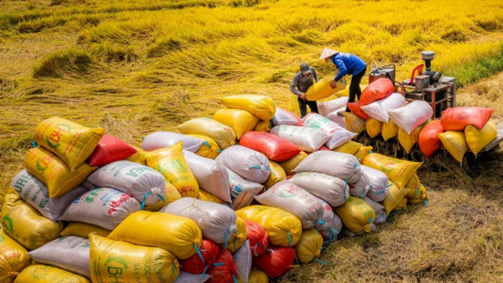 Bộ Công Thương lấy ý kiến Dự thảo Thông tư về kinh doanh xuất khẩu gạo