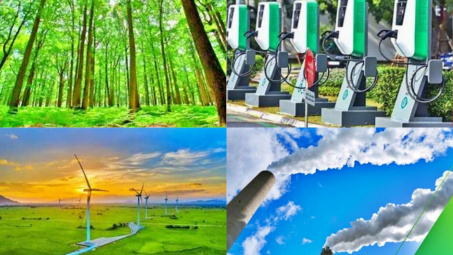 Dự kiến từ tháng 6/2025 thí điểm vận hành sàn giao dịch tín chỉ các-bon trong nước