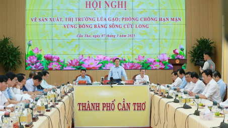 Theo dõi sát diễn biến thị trường gạo thế giới để có kế hoạch sản xuất, xuất khẩu phù hợp