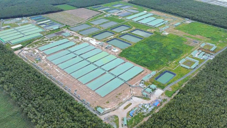 BAF Việt Nam (BAF) M&A trang trại thứ 15, mục tiêu tăng 65% quy mô đàn heo năm nay