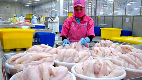 Giá cá tra lên cao nhất 3 năm, xuất khẩu của Thuỷ sản Vĩnh Hoàn (VHC) sang Mỹ tiếp tục tăng
