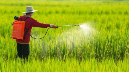 Đề xuất sửa Danh mục thuốc bảo vệ thực vật được phép sử dụng tại Việt Nam