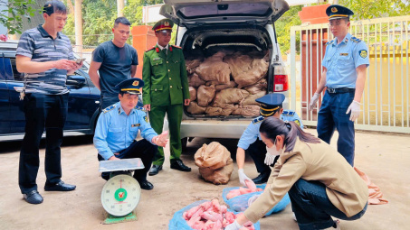 Lạng Sơn: Liên tục phát hiện số lượng lớn chân gà, móng gò đông lạnh không rõ nguồn gốc