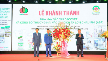 Tập đoàn Dabaco (DBC) chính thức công bố thương mại vaccine dịch tả lợn