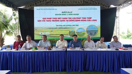 Canh tác lúa giảm phát thải: Hành trình nâng cao giá trị hạt gạo Việt