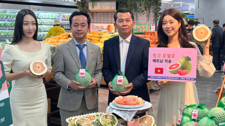 Bưởi Việt Nam chính thức có mặt trên kệ siêu thị Hàn Quốc, triển vọng tăng trưởng khả quan