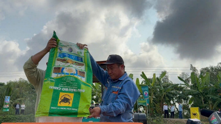 Phân bón Đầu Trâu Bio-Canxi: Trả dinh dưỡng lại cho đất lúa