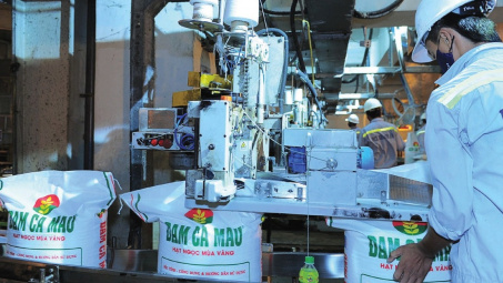 Đạm Cà Mau (DCM): Lãi quý 1 tăng 19%, chuẩn bị sẵn 250.000 tấn sản phẩm cho vụ Hè Thu