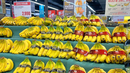 Xuất khẩu chuối tăng trưởng tích cực, Hoàng Anh Gia Lai (HAG) báo lãi quý 1 tăng 59%