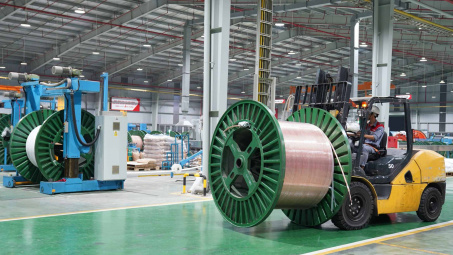 Tập đoàn GELEX (GEX) chuẩn bị chi hơn 400 tỷ đồng trả cổ tức