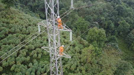 Tổng công ty Điện lực miền Bắc: Tất cả vì lợi ích của khách hàng