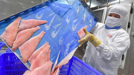 Thuỷ sản Vĩnh Hoàn (VHC): Mục tiêu lãi năm nay tăng 22%, chi hơn 800 tỷ đồng cho loạt dự án