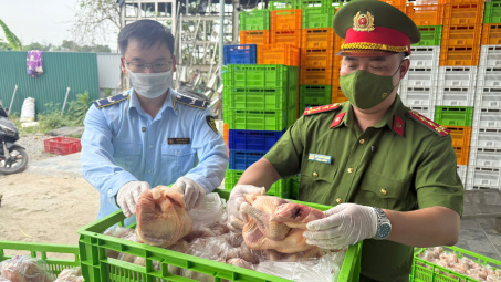 Hà Nội: Phát hiện lô gà đông lạnh “khủng” không rõ nguồn gốc lớn nhất từ trước đến nay