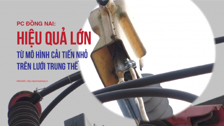 [eMagazine] PC Đồng Nai: Hiệu quả lớn từ mô hình cải tiến nhỏ trên lưới trung thế