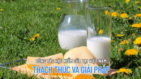 Công tác hậu kiểm sữa tại Việt Nam: Thách thức và giải pháp
