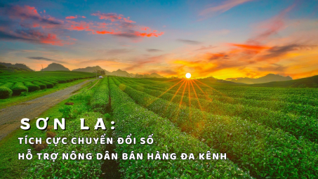 Sơn La: Tích cực chuyển đổi số, hỗ trợ nông dân bán hàng đa kênh