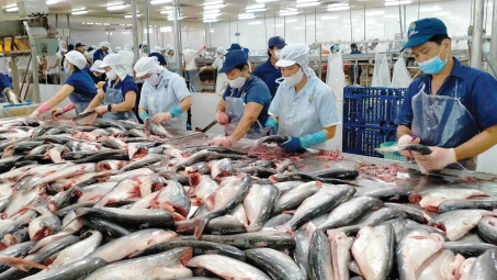 Thực trạng xuất khẩu thủy sản Việt Nam 2024 và định hướng cho năm 2025