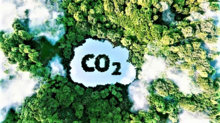 Giải pháp phát triển thị trường carbon tại Việt Nam