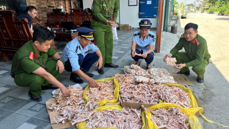 Nghệ An: Phát hiện gần 500kg chân gà, đuôi lợn đông lạnh không đảm bảo an toàn thực phẩm