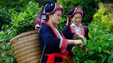 Điều chỉnh nội dung Chương trình phát triển kinh tế-xã hội vùng dân tộc thiểu số
