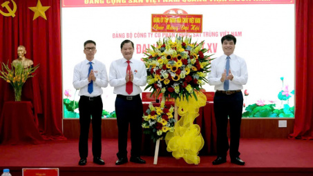 Đại hội Đảng bộ Công ty Cổ phần Thuốc Sát trùng Việt Nam lần thứ XV, nhiệm kỳ 2025-2030