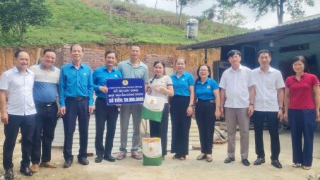 Kinh tế hộ lâm nghiệp: Lan tỏa từ những cánh rừng nguyên liệu giấy