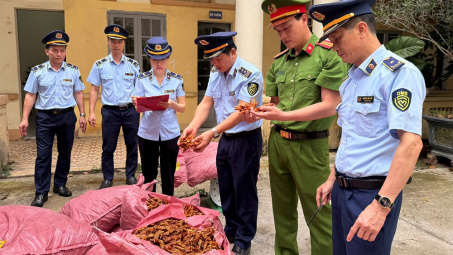 Ngăn chặn kịp thời 1,5 tấn chân gà không rõ nguồn gốc xuất xứ