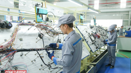 Quỹ tài chính tiết kiệm năng lượng: Giải pháp khơi thông nguồn lực cho chuyển đổi xanh