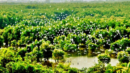 Thiết thực hưởng ứng Ngày Môi trường thế giới và Tháng hành động vì môi trường năm 2025