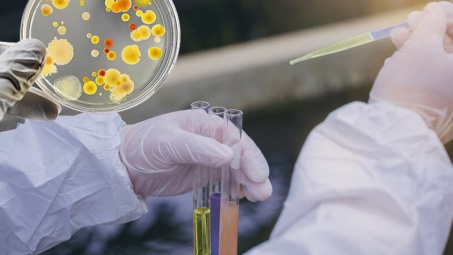Phân hủy ampicillin bằng kỹ thuật quang xúc tác trên cơ sở ZnSe mang trên TiO2