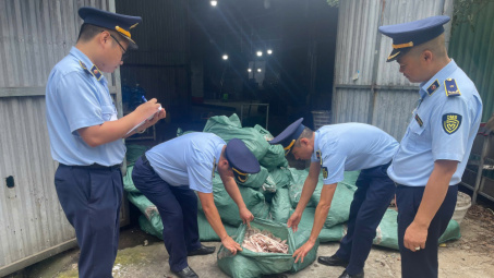 Phát hiện hơn 10 tấn chân gà không rõ nguồn gốc tại Quảng Ninh, Hà Nội, Lào Cai