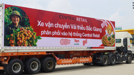 Central Retail sẽ tiêu thụ khoảng 1.000 tấn vải thiều Lục Ngạn (Bắc Giang) mùa vụ năm 2025