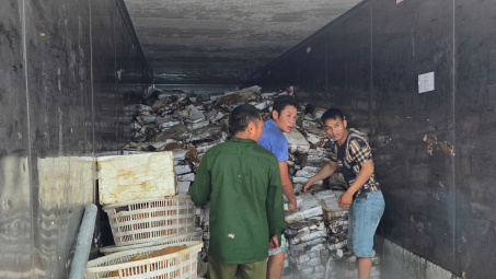 Tạm giữ hơn 25 tấn thực phẩm không rõ nguồn gốc tại kho lạnh ở Móng Cái