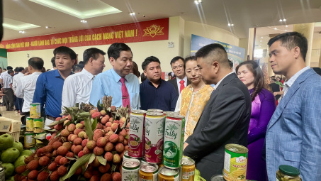 Bắc Giang sẵn sàng cho vụ vải thiều 2025, quyết tâm giữ vững vị thế trung tâm vải thiều của cả nước