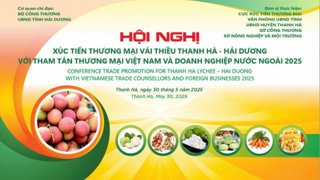 Hải Dương sẵn sàng cho sự kiện “Hải Dương mùa vải chín” và Hội nghị xúc tiến tiêu thụ vải thiều Thanh Hà năm 2025