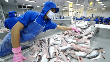 Thuỷ sản Vĩnh Hoàn (VHC): Doanh thu tháng 4 duy trì trên mức nghìn tỷ, đa dạng hoá thị trường