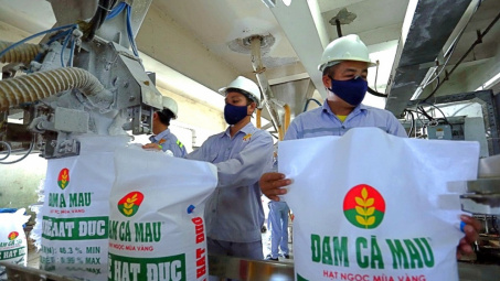 Xuất khẩu tăng tốc, Đạm Cà Mau (DCM) báo lãi ròng cao nhất 3 năm