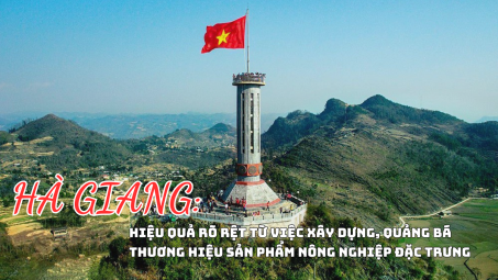 Hà Giang: Hiệu quả rõ rệt từ việc xây dựng, quảng bá thương hiệu sản phẩm nông nghiệp đặc trưng