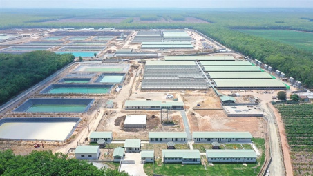 BaF Việt Nam (BAF): Dự báo giá heo hơi tăng trở lại ngưỡng 80.000 đồng/kg, “khoe” lợi thế năng suất