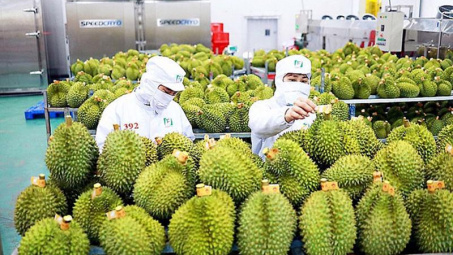 Bảo đảm sản xuất, tiêu thụ, xuất khẩu nông lâm thủy sản trong biến động thương mại toàn cầu