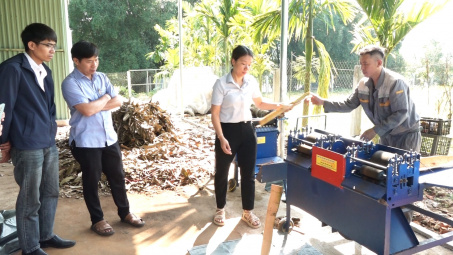 Quảng Nam: Đề án khuyến công nâng tầm sản phẩm quế Trà My