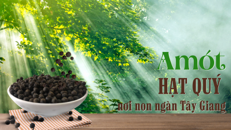 Amót - Hạt quý nơi non ngàn Tây Giang