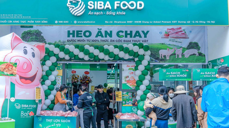 "Heo ăn chay" BAF Việt Nam (BAF): Doanh thu lập kỷ lục mới, đảm bảo chất lượng heo sạch