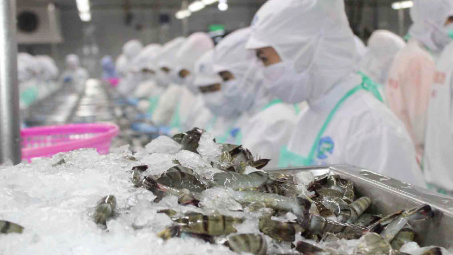 Hoa Kỳ ban hành kết luận sơ bộ rà soát POR19 giai đoạn từ 01/02/2023 đến 31/01/2024