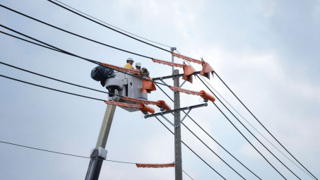 Tổng công ty Điện lực Thành phố Hồ Chí Minh tăng cường kiểm tra công tác an toàn trong lao động