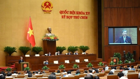 Quốc hội chính thức thông qua Luật Hóa chất (sửa đổi) với tỷ lệ tán thành cao