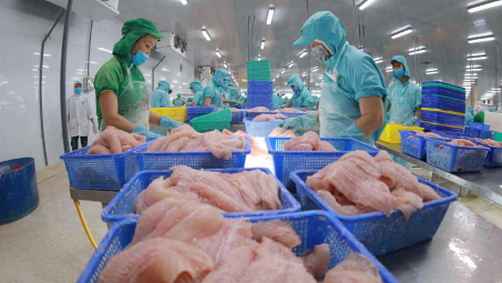 Đơn hàng làm không kịp, Thủy sản Nam Việt (ANV) kỳ vọng lãi năm nay tăng 6 lần